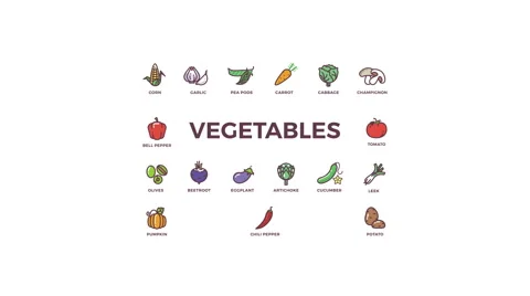 Animated icons of vegetables on white background Stock Footage 65327322