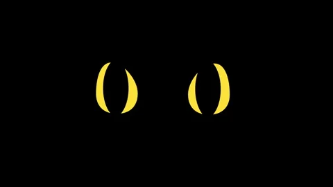 Animated illustration of a black cat blinking in the dark, 4k Stock Footage 244620196