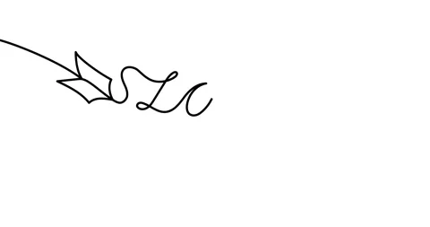 Animated illustration. Continuous one line heart and love in the form of an a 動画素材 167825909