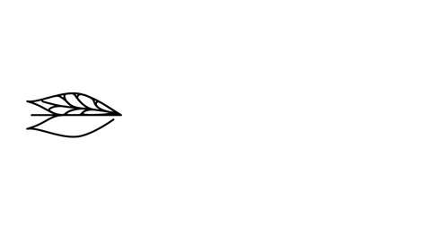 Animated illustration. Continuous one line lettering aimer (love in French) i 動画素材 167825933