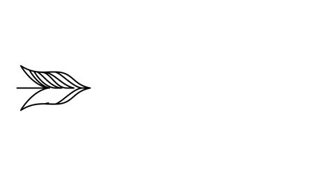 Animated illustration. Continuous one line lettering aimer (love in French) i Stock Footage 167825934