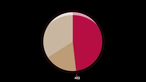 Animated infographic pie chart loading progress Stock Footage 340555172