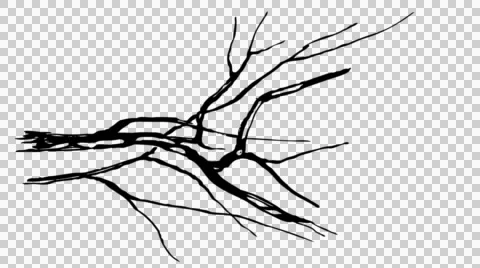 Animated ink drawing twig black on alpha Stock Footage 54145973