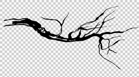 Animated ink drawing twigs black on alpha Stock Footage 54146985