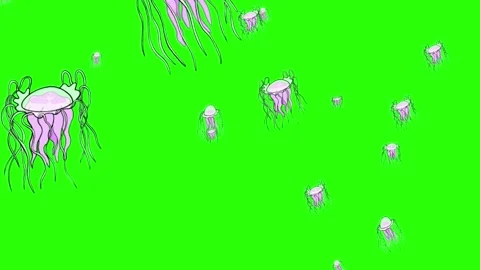 Animated Jellyfish Stock Footage 236805859