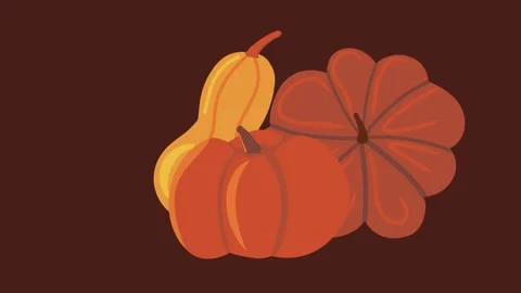 Animated jumping pumpkins and squash form a composition on dark brown. Stock Footage 323438578