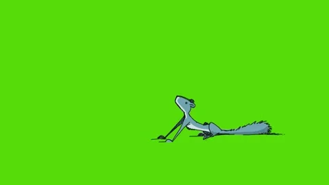 Animated jumping squirrel in green screen Stock Footage 197617951