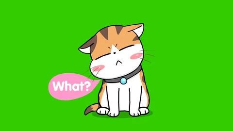 Animated Kitten Looking Curious with 'What's Up?' Text Green Screen Stock Footage 282772394