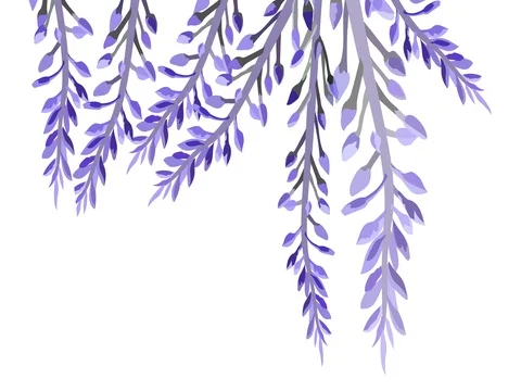 Animated Lavender Stock Footage 76767858