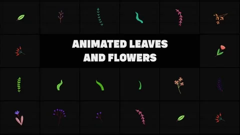 Animated Leaves And Flowers Pack 02 Stock Footage 219312644