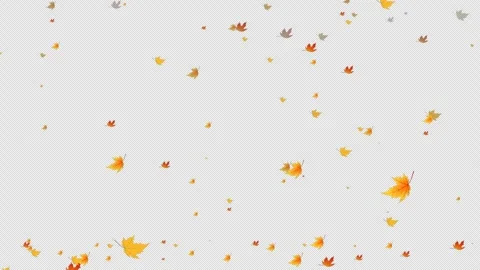 Animated leaves fall. autumn maple leaves falling. Stock Footage 283001277