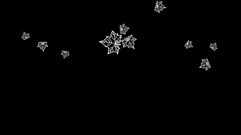Animated leaves fall on black background Stock Footage 266696051