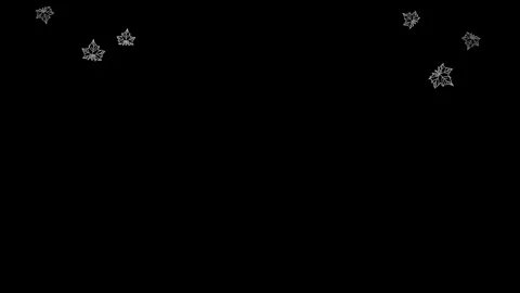 Animated leaves fall on black background Stock Footage 266696118