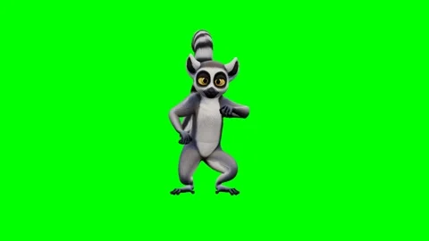 Animated lemur performing a fun chicken dance on a green screen. 4K Video stock 348006117