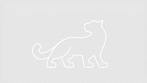 Animated leopard white icon Stock Footage 307913513