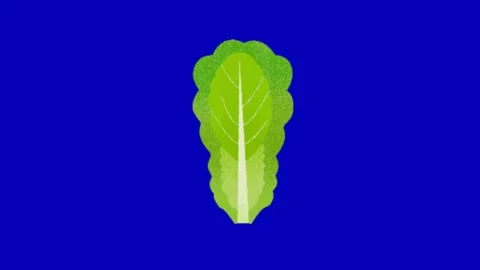 Animated Lettuce Leaf on Blue Screen Видео 345096555