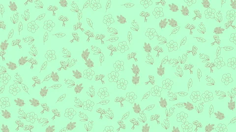 Animated light green background with delicate botanical line art pattern loop Stock Footage 342473328