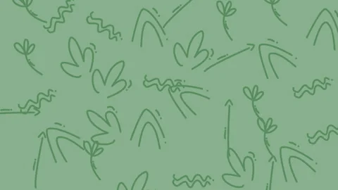 Animated Line Art Seamless botanical doodle pattern 스톡 동영상 346469898