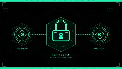 Animated Lock Icon Transitioning Between Locked, Unlocked, and Loading States Stock Footage 339387642