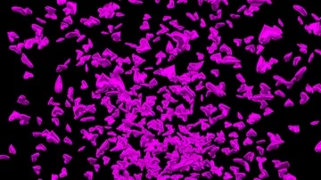 Animated a lot of pink hearts exploding and flying toward camera Stock Footage 85604163