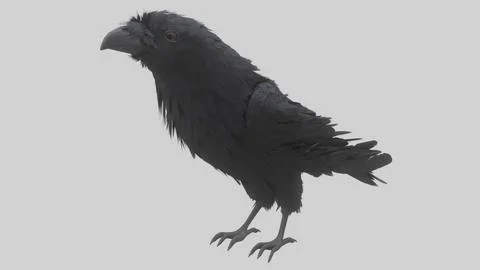 Animated Low Poly Raven Model With PBR Materials 3D Model