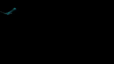 Animated lower third banner Stock Footage 70714424