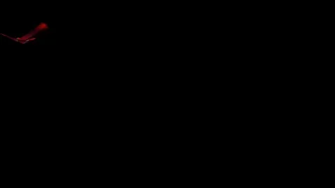 Animated lower third banner Stock Footage 70931441