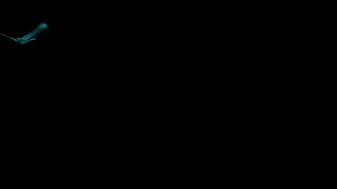 Animated lower third banner Stock Footage 70931846