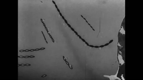 Animated map indicating the movements of the British and German fleet Stock Footage
