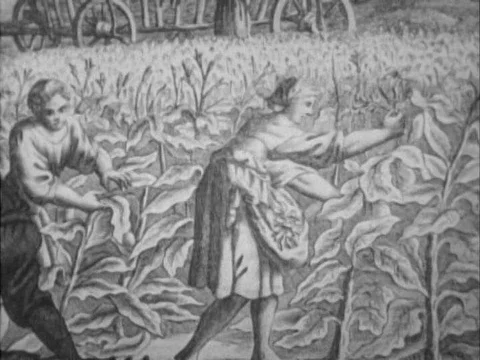 An animated map shows sailing routes for the delivery of slaves and engravings Stock Footage 75285315