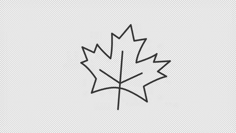 Animated maple leaf icon Stock Footage 305458878