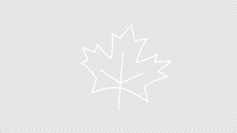 Animated maple leaf white icon Stock Footage 307913464