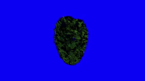 Animated model of a heart made of hemp leaves on a blue background. Stock Footage 167094906