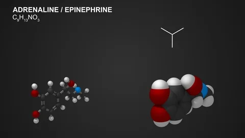 Animated models of adrenaline (epinephrine) molecule, seamless loop, 4K, 30fps Stock Footage 126175237