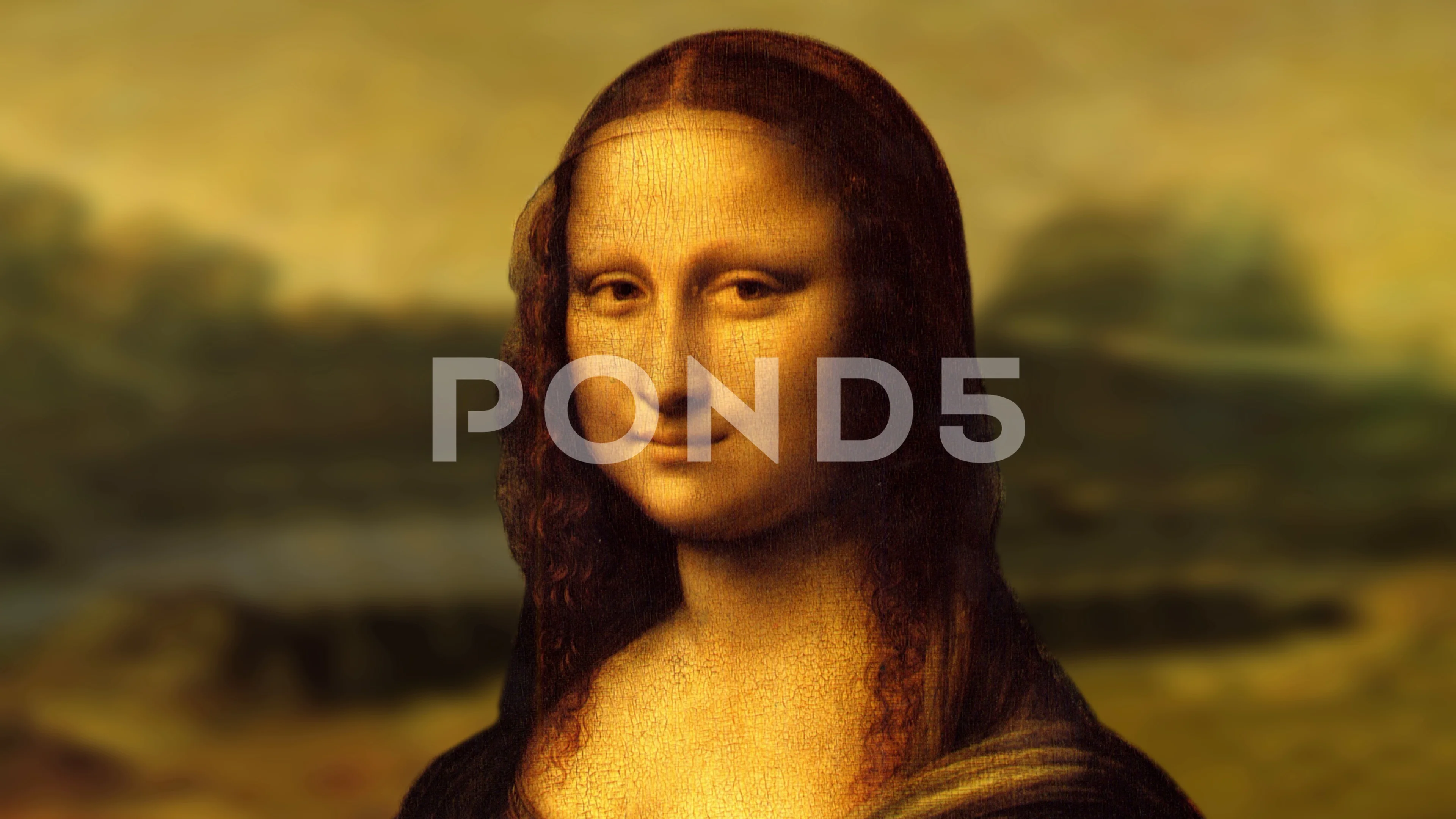 Animated Mona Lisa painted by Leonardo ... | Stock Video | Pond5