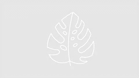 Animated monstera deliciosa leaf line icon Stock Footage 345256694