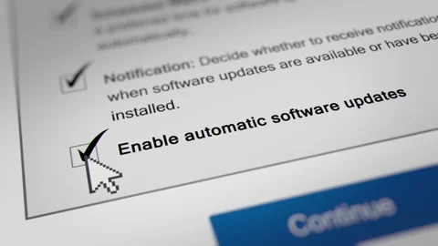 Animated Mouse Cursor Clicking Enable Automatic Software Updates Checkbox Stock Footage 245987395