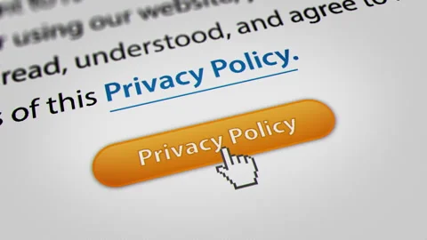 Animated Mouse Cursor Clicking " Privacy Policy" Button Video stock 243260453