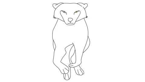 Animated Movement Of A Running Wolf Front View Stock Footage 243244431