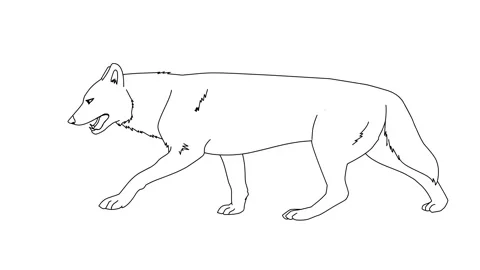 Animated Movement Of A Walking Dog Stock Footage 243246641