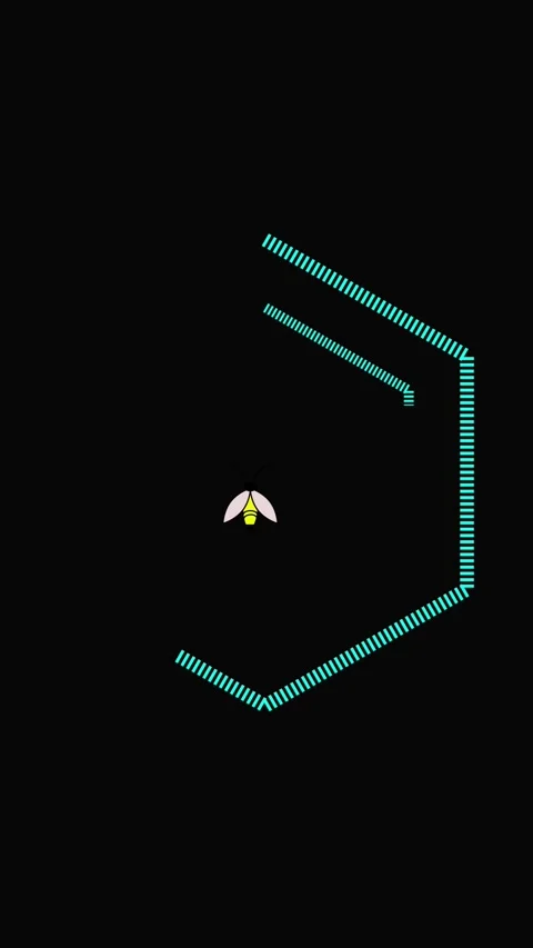 Animated neon bee flight vertical video minimalist teal lines geometric pat.. Stock Footage 321721801