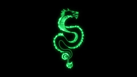 Animated Neon Dragon Stock Footage 251676193