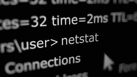 Animated Netstat Networking Commands Line Stock Footage 221572129