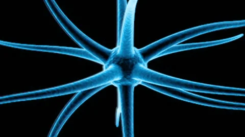 Animated Neuron Impulse Loop Stock Footage 65229399