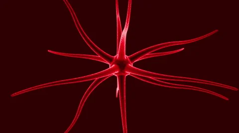Animated Neuron Impulse Loop Zoom in Stock Footage 65229147