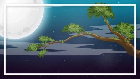 Animated Night Sky with Full Moon and Drifting Stars Behind Tree Branch Stock Footage 341842059