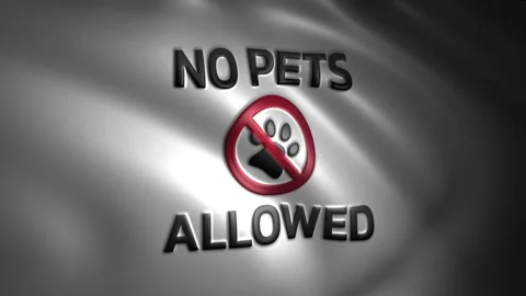 Animated No Pets Allowed Flag with Symbol Stock Footage 247637528