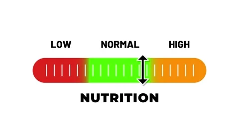Animated Nutrition Score Level Meter Horizontal, Health and Diet Bar Indicator Stock Footage 318826330