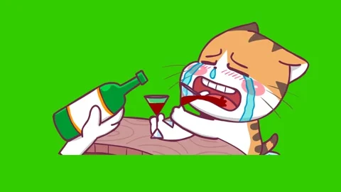Animated Orange Cat Crying and Drinking Wine in a Pub - Transparent Backgroun Stock Footage 282781430