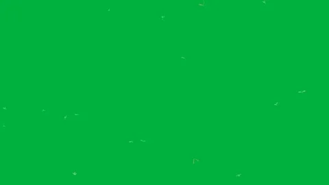 Animated orange cat sleeping on green screen ideal for animal animation Stock Footage 308867760